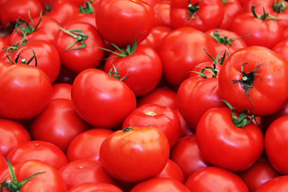 paradajky, zdroj lykopénu